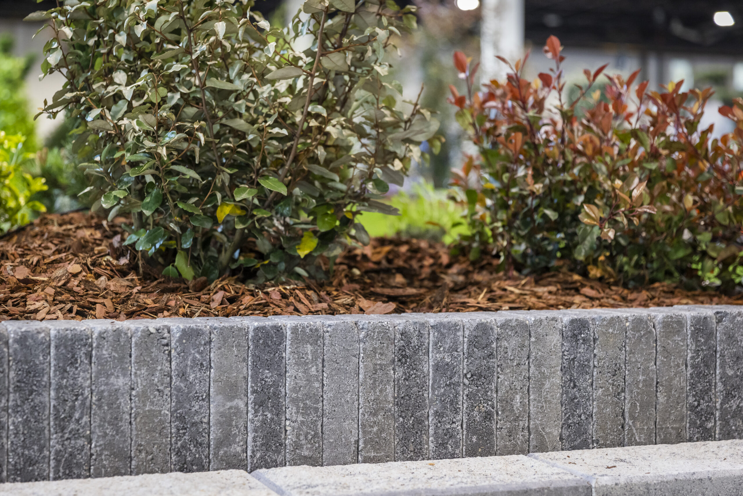 Patio antik carbon térkő és falazókő