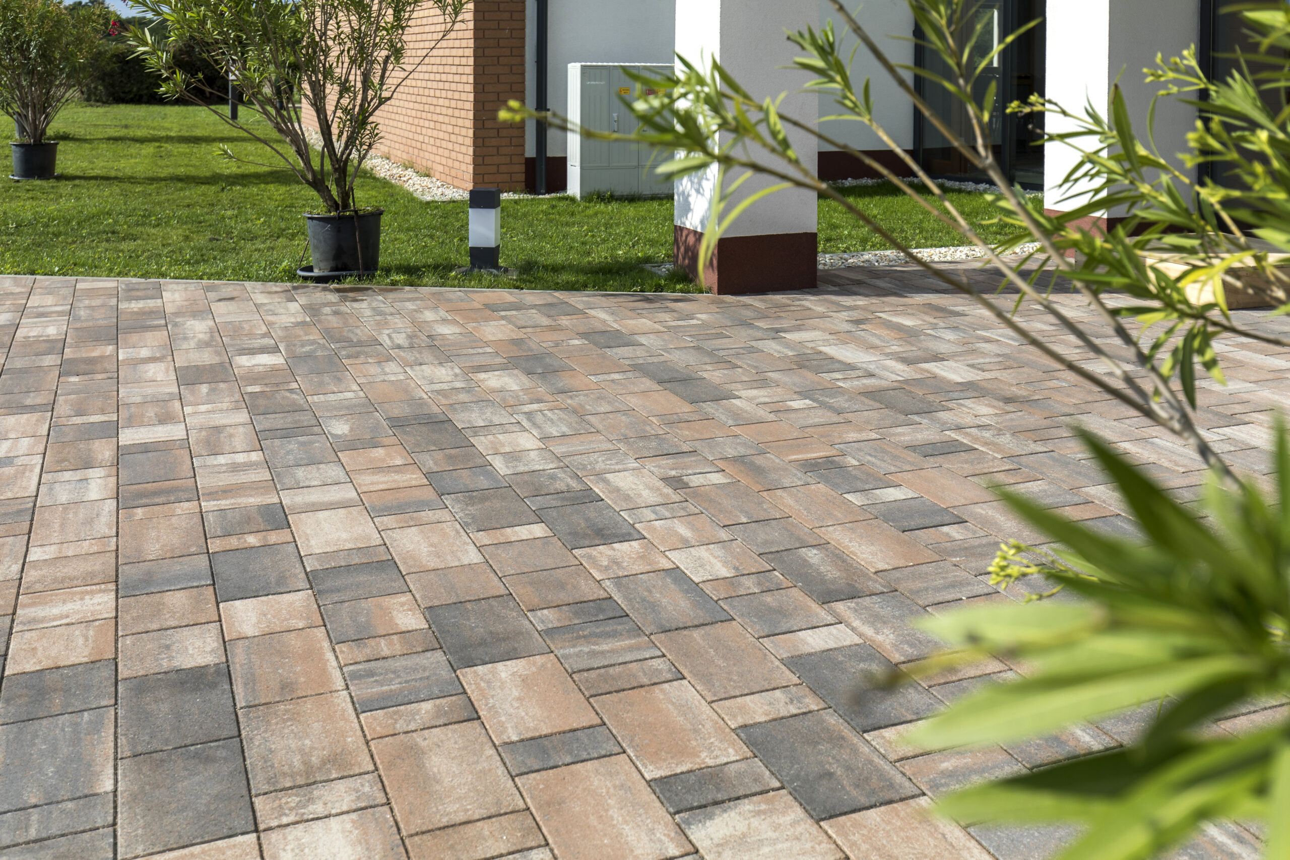 Taverna térkő kagylóhéj