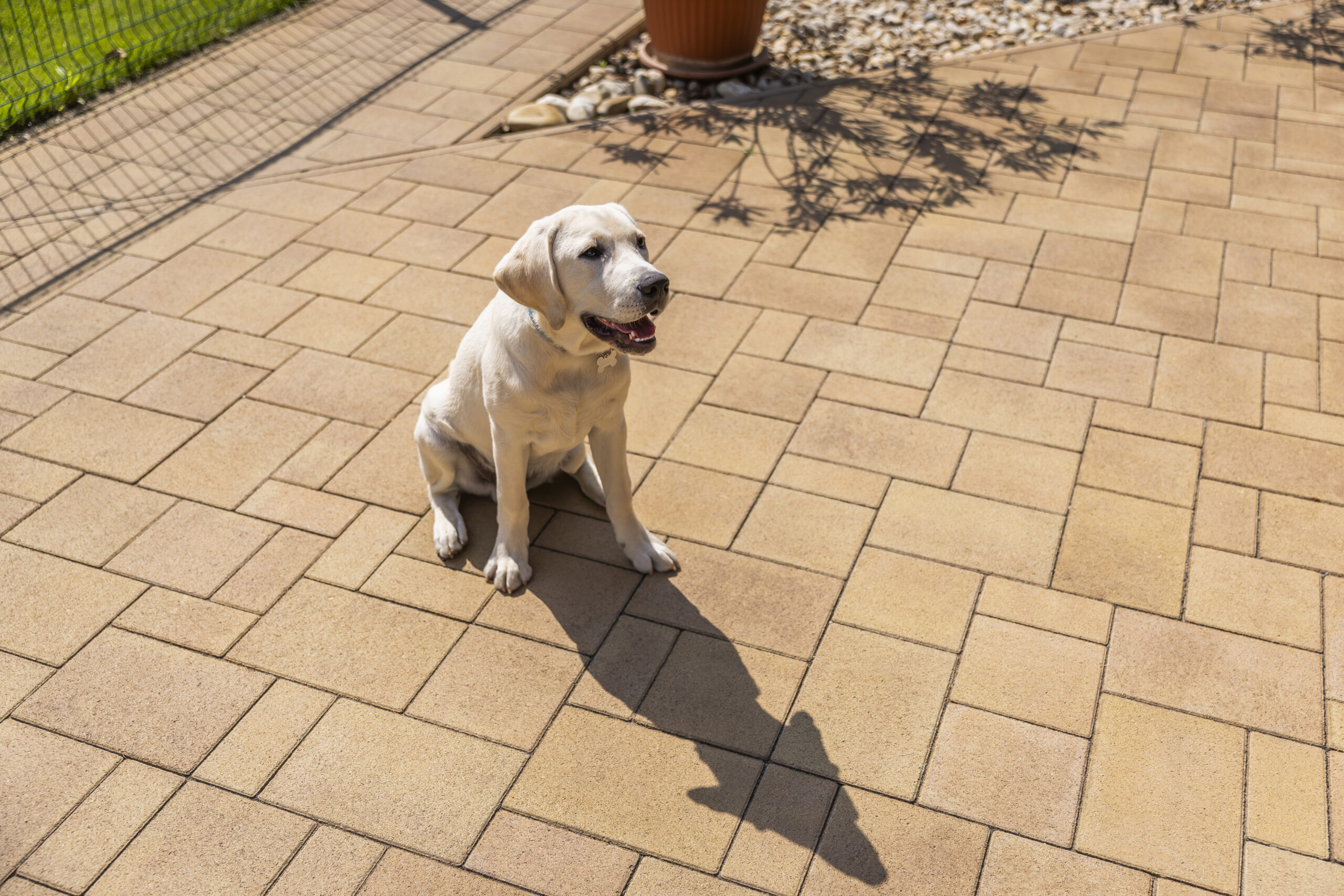 Taverna térkő mogyoró