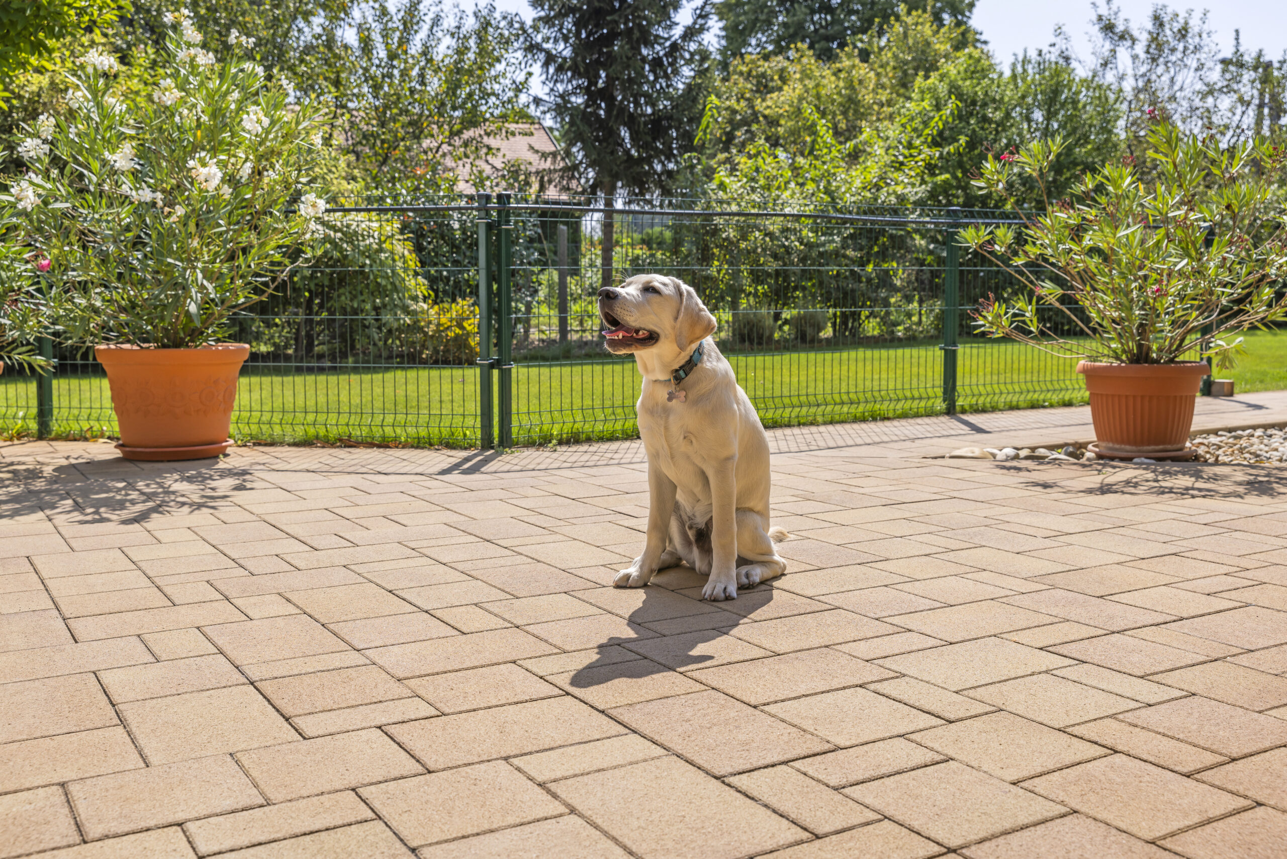 Taverna térkő mogyoró
