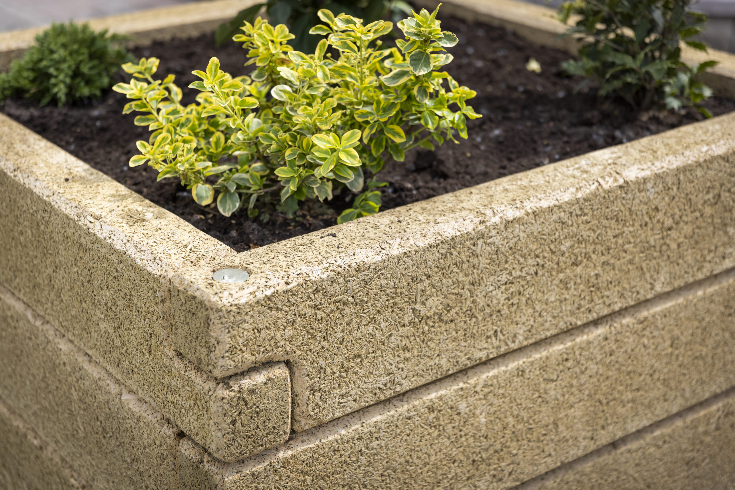 Magaságyás Négyzet alakzat - Image 11