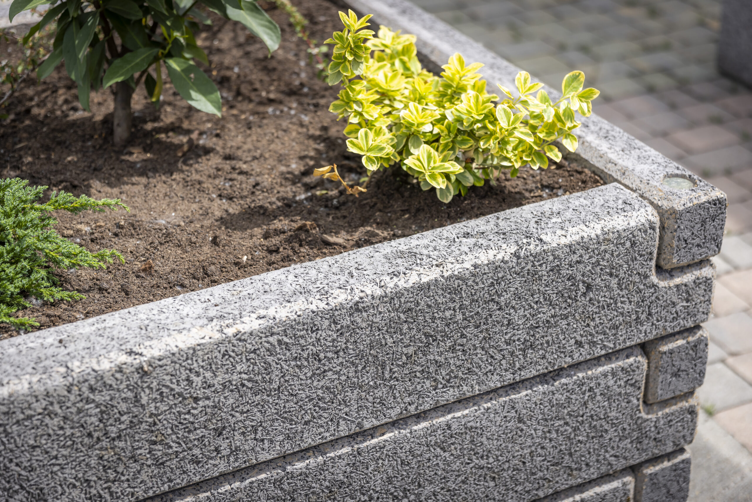 Magaságyás Négyzet alakzat - Image 17