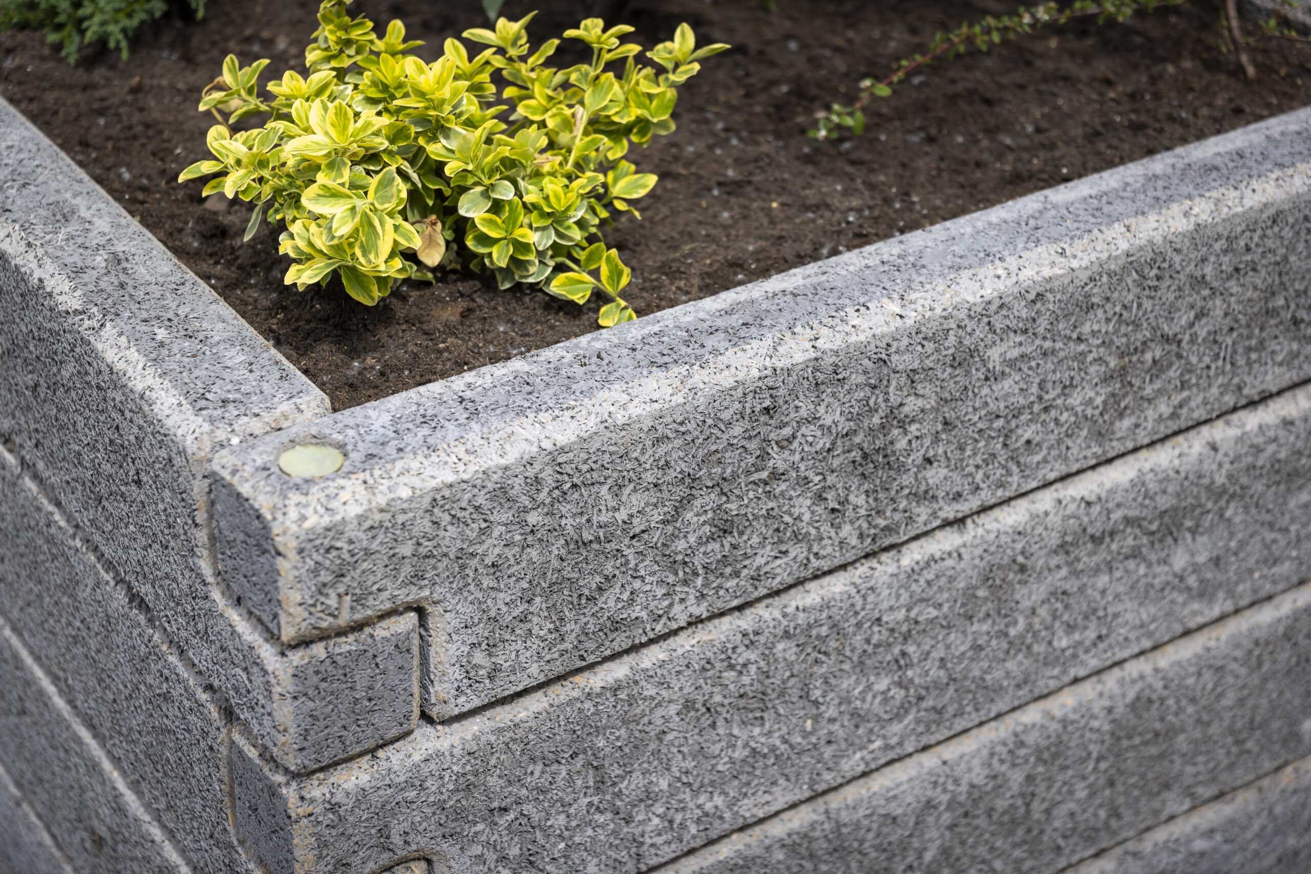 Magaságyás Négyzet alakzat - Image 32