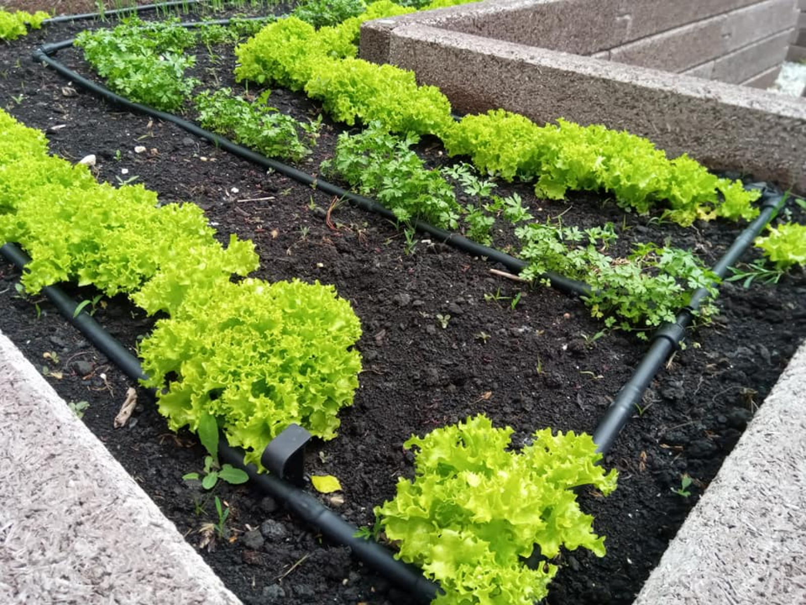 Magaságyás U alakzat - Image 10