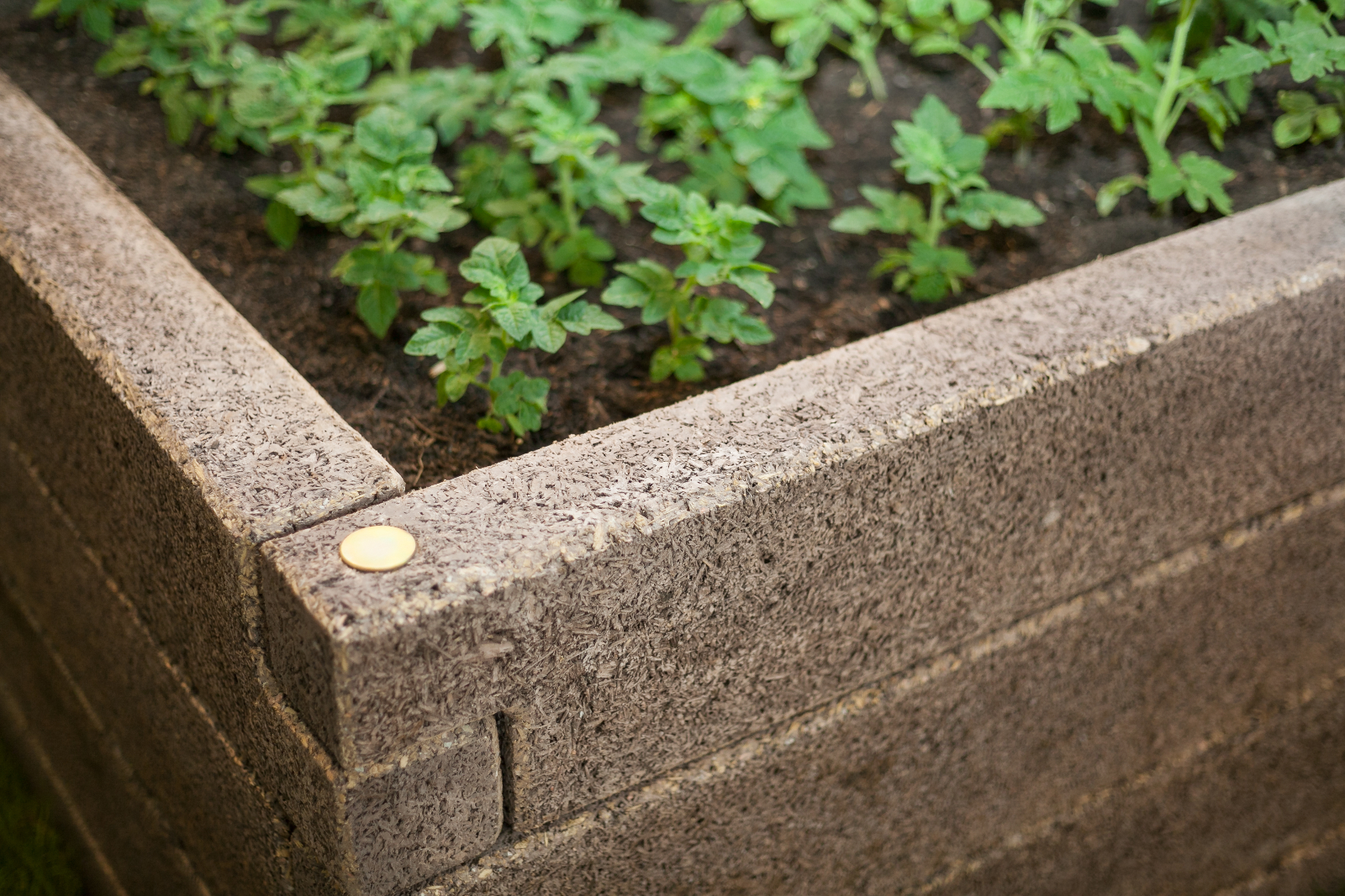 Magaságyás Négyzet alakzat - Image 24