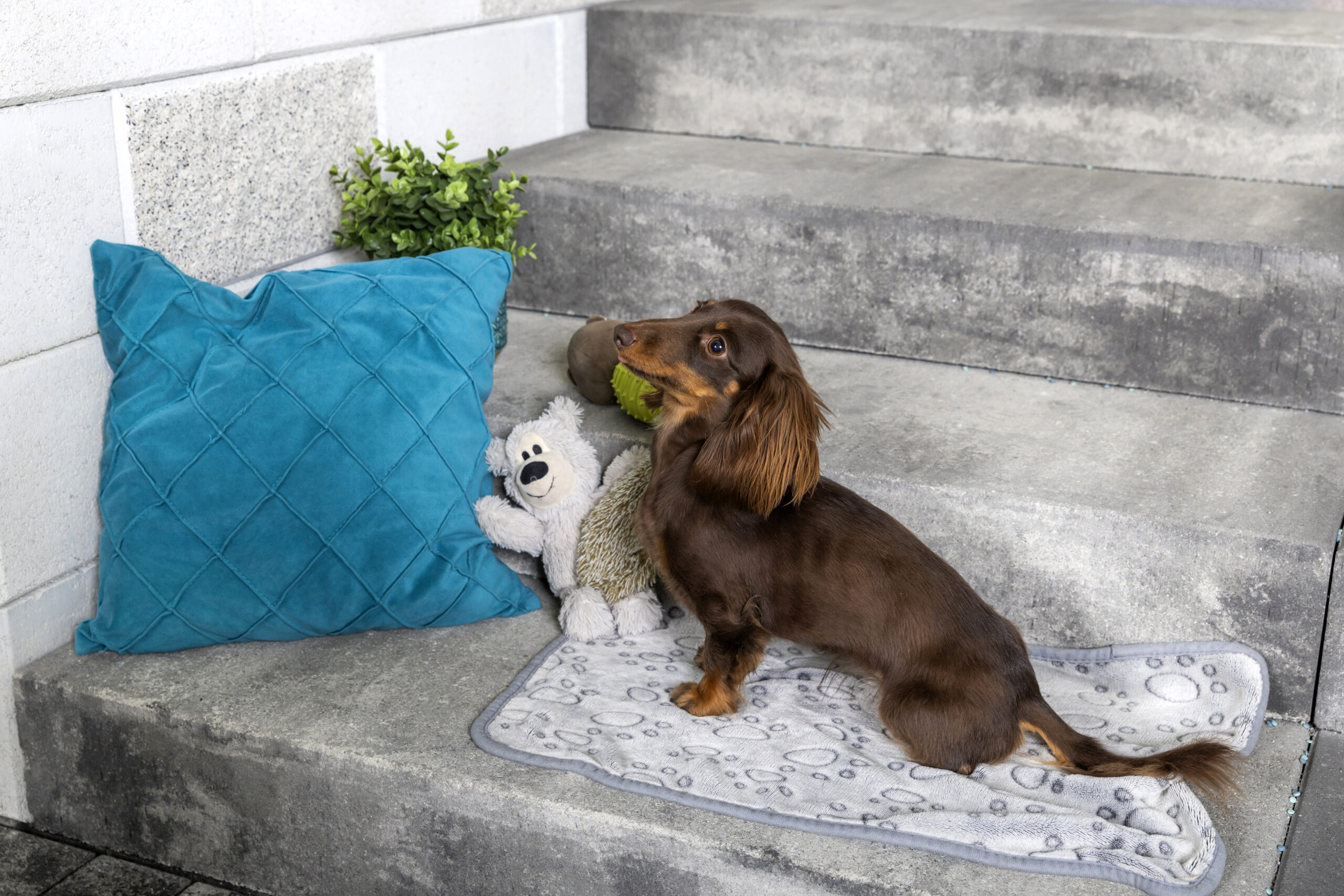 Kaiserstein Taverna lépcsőblokk - Image 10