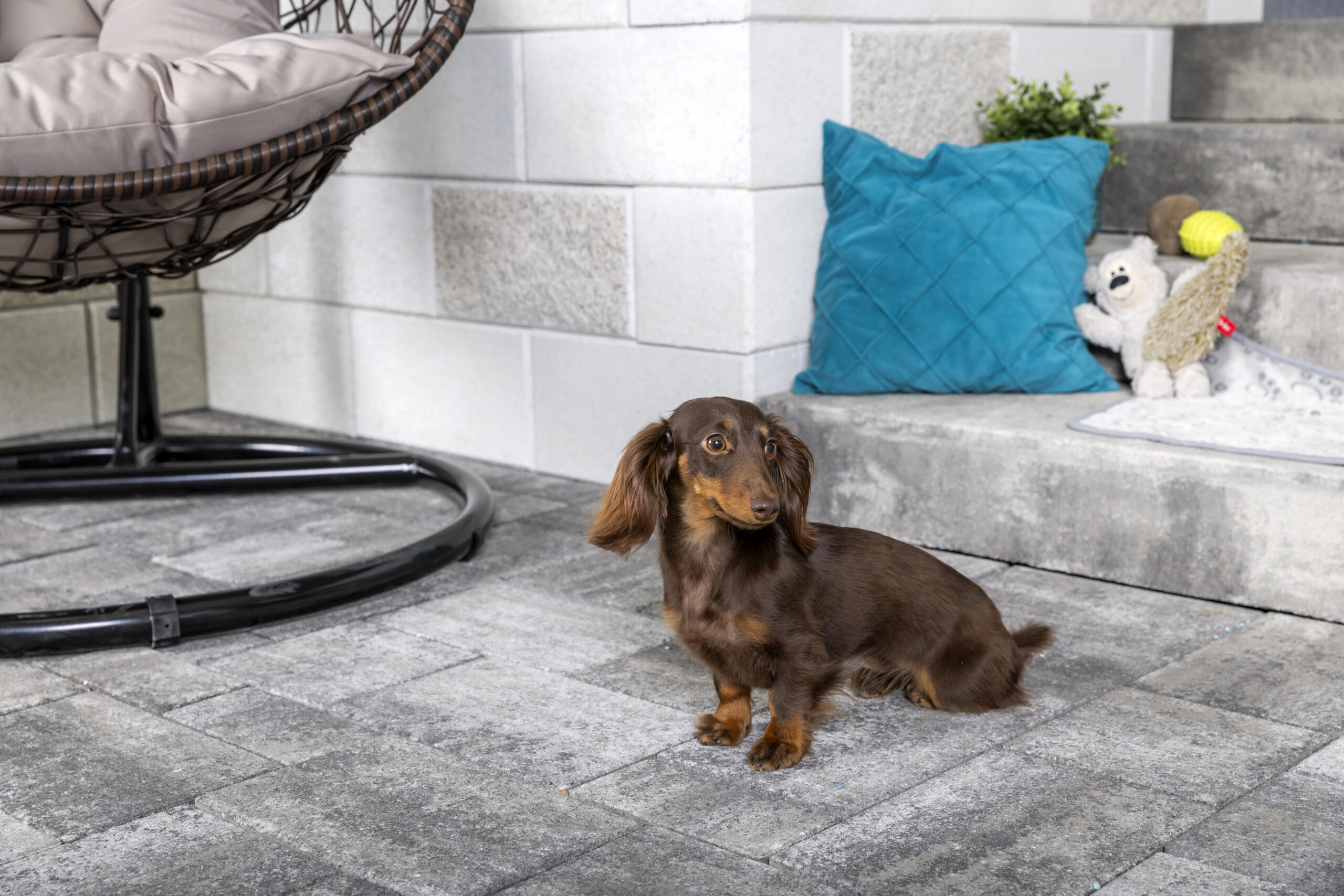 Kaiserstein Taverna lépcsőblokk - Image 12