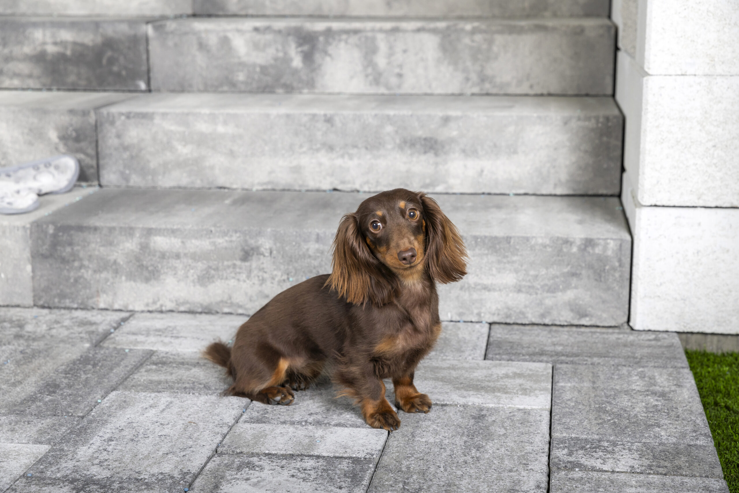 Kaiserstein Taverna lépcsőblokk - Image 13