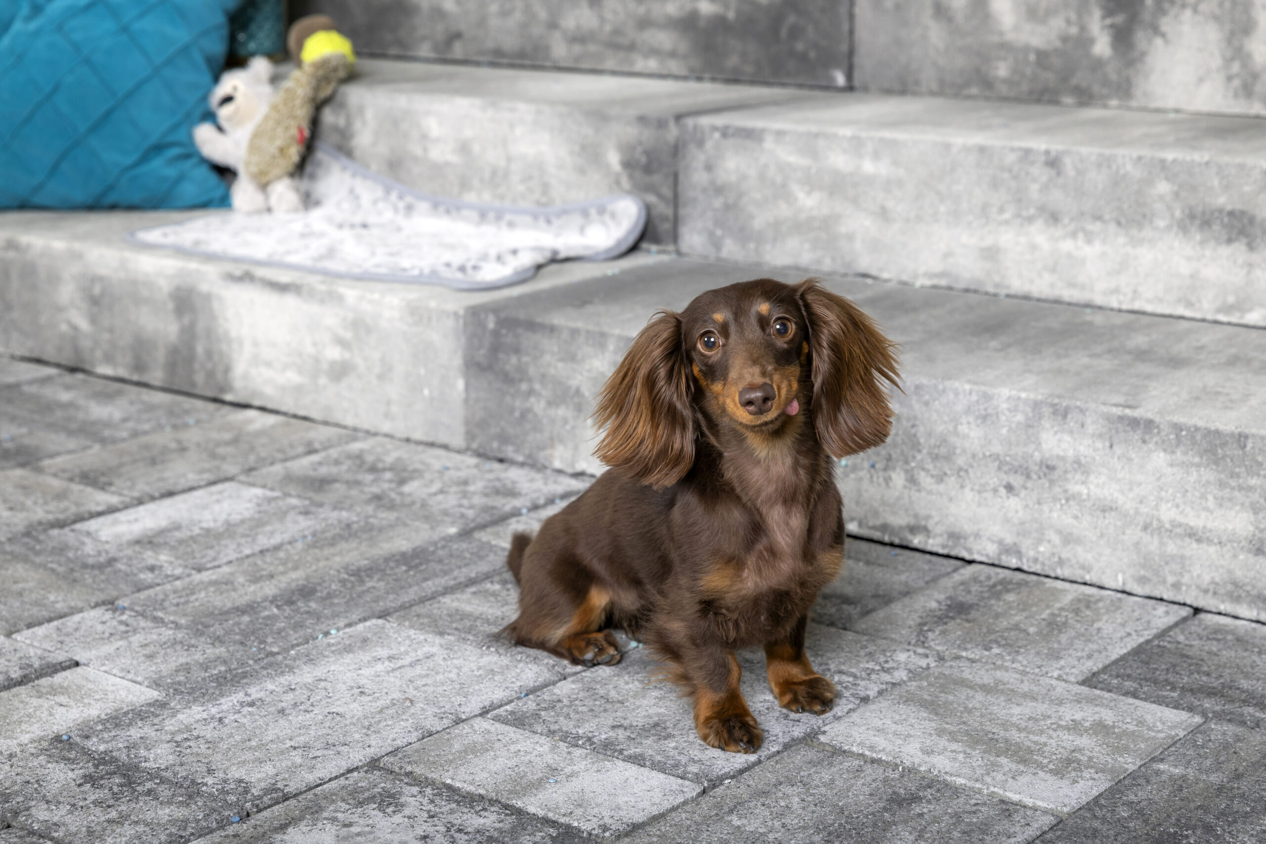 Kaiserstein Taverna lépcsőblokk - Image 14