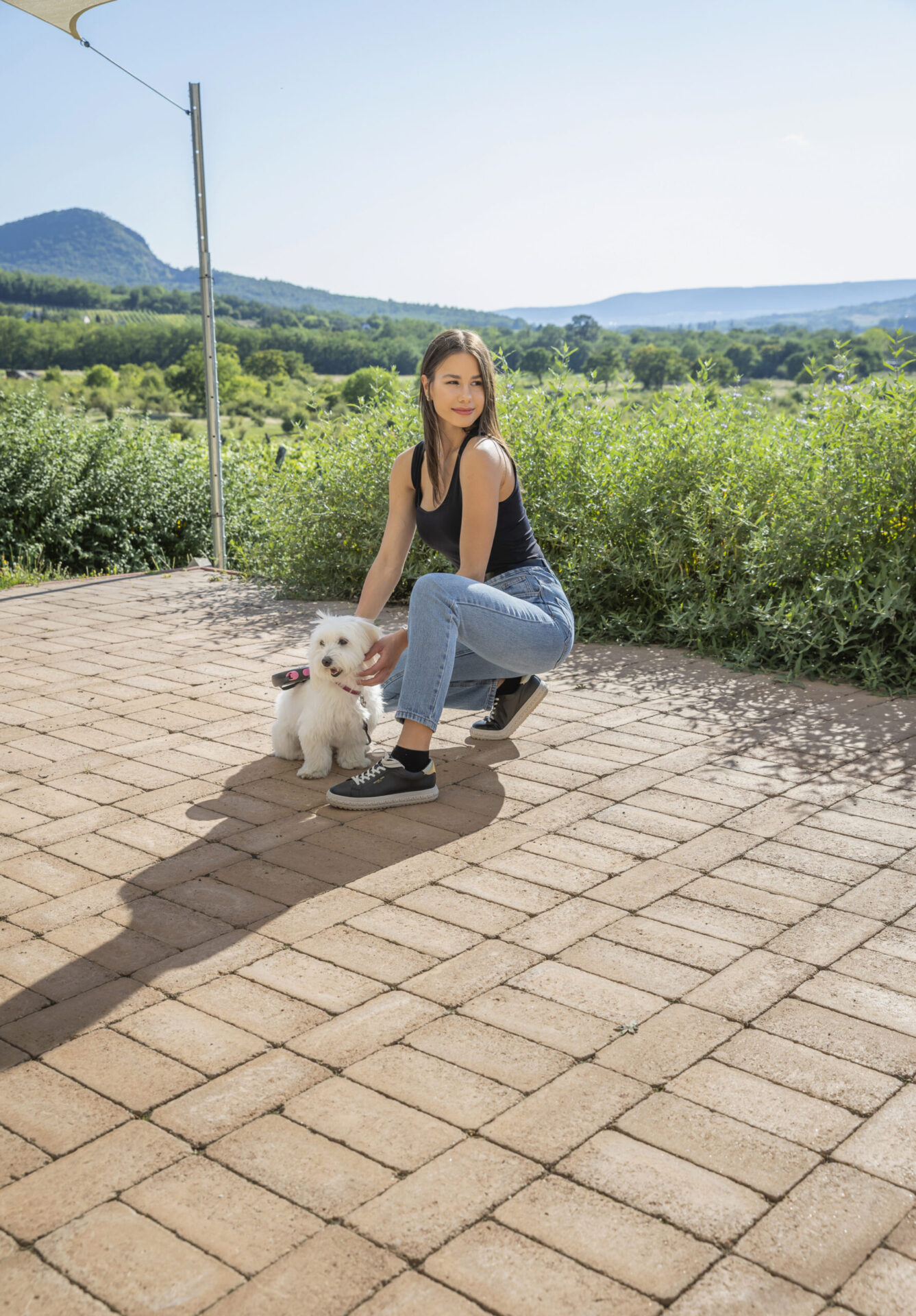 Patio térkő agyagbarna, Sabar borház