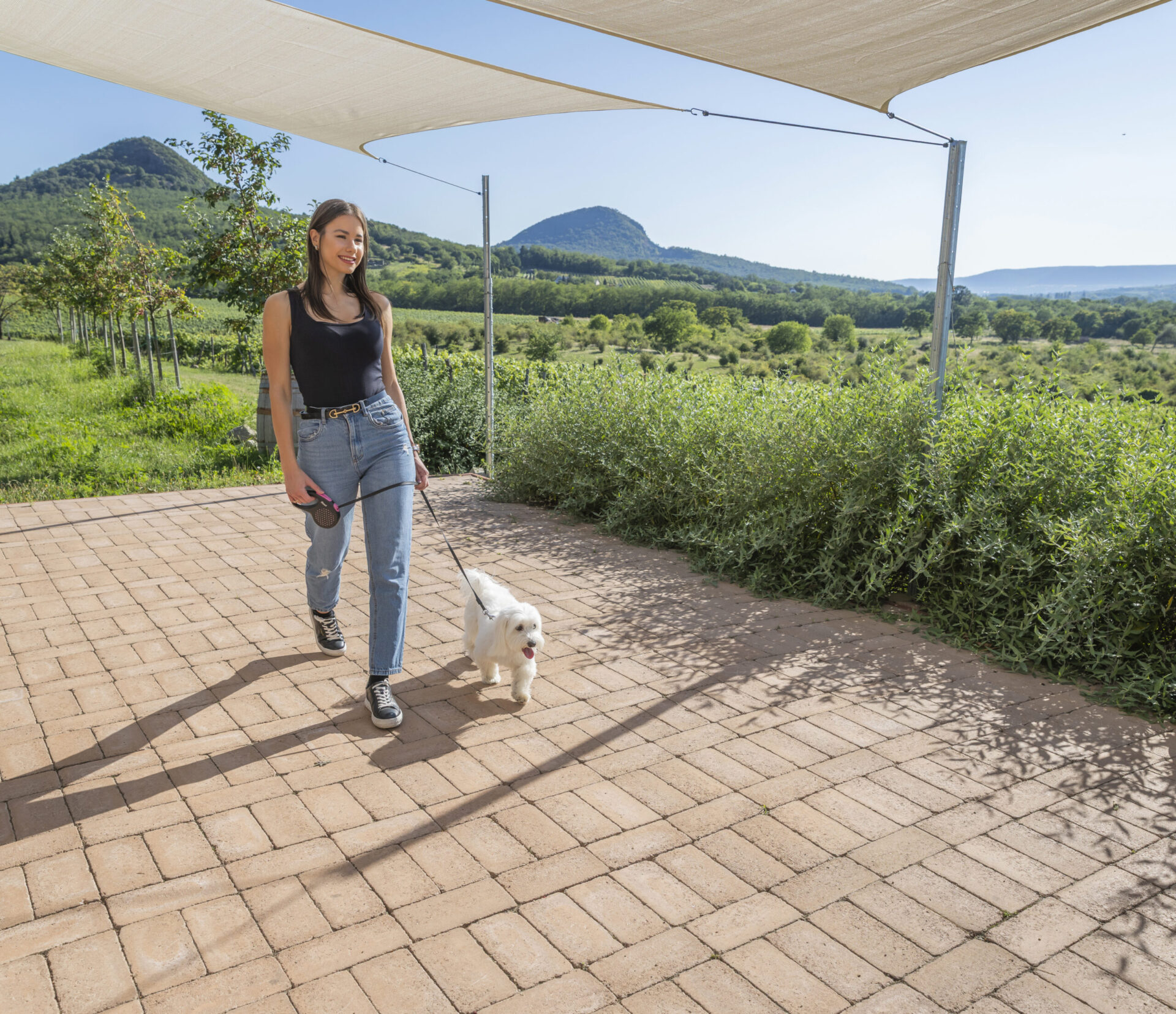 Patio térkő agyagbarna, Sabar borház