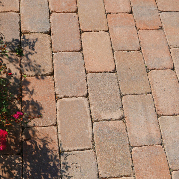 Cicero